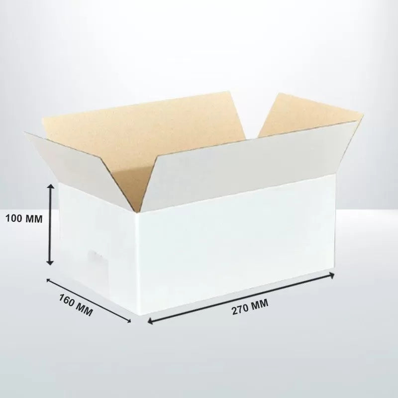 100pcs 270 x 160 x 100mm White Mailing Box RSC Carton